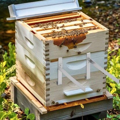 2 Pairs Beehive Frame Holder, Beehive Frame Rack Stainless Steel Large Capacity Bee hive Frame Support Rack Stand for Home Beekeeping Honey Harvesting and Inspection
