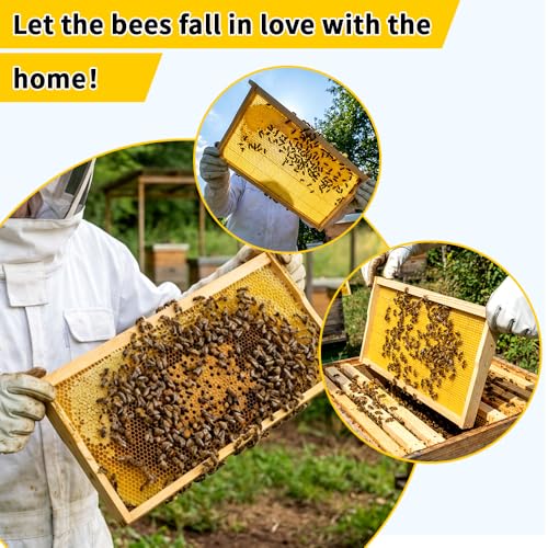 20 Pack Beehive Frames with Beeswax Sheets, Assembled Deep Beehive Frames and Beeswax Foundation Sheets, 9-1/8-Inch for Beekeeping Supplies - size: 20PCS