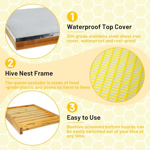 Beehive/Langstroth 10 Frame bee Box/bee Hives Boxes Starter kit with 100% Beeswax Includes Beehive Frames and Beeswax Coated Foundation Boards(1 Deep Boxes & 1 Medium Boxes)