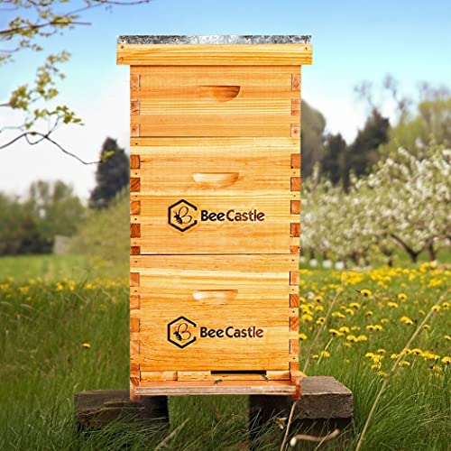 BeeCastle 8 Frame Langstroth Bee Hive Coated with Beeswax Includes Beehive Frames and Waxed Foundations (2 Deep Boxes & 1 Medium Box)