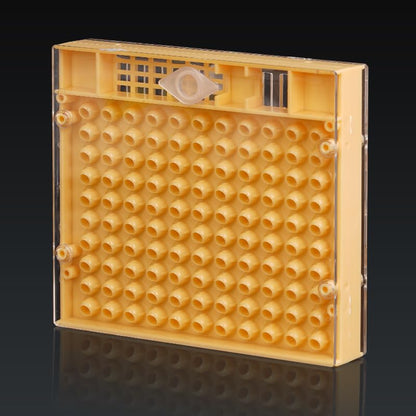 Bee Rearing Kit 1Set Apiculture Kit Queen Bee Rearing Plastic Graft Larva Pen Hair Roller Cage Cell Protection Beekeeping Tool Supplies for Beginners and Bee Keeper(Kit 1) - color: Kit 1
