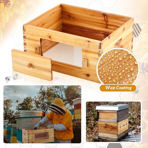 Juexica 10 Frame Deep Brood Bee Hive Box, Langstroth Beehive with Transparent Acrylic Windows, Bee Box Dipped in 100% Beeswax (Unassembled)