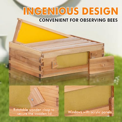 Honey Lake 8 Frame Beehive Medium Super Box with Window, Langstroth Bee Hive Box Kit Dipped in Beeswax Include Wooden Frames & Waxed Foundations, Bee Boxes for Beekeeping Supplement (Unassembled) - size: 8-Frame