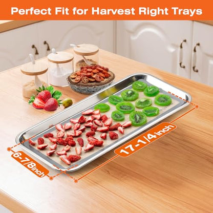 5 pcs Silicone Baking Mats For Harvest Right Freeze Dryer Medium Size Trays (Gray, M - Medium) - color: Gray