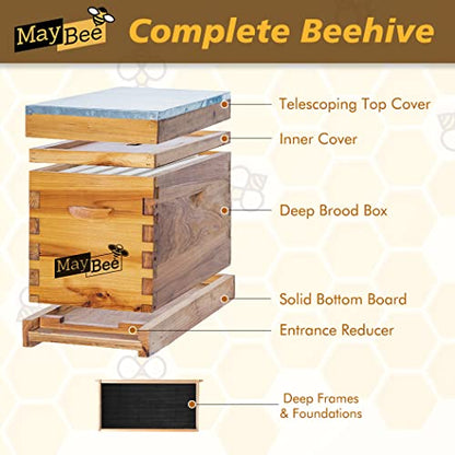5-Frame Nuc Beehive Box for Beekeeping Complete Bee Hive Nuc Box Kit Dipped in 100% Beeswax Includes 5 Wooden Frames & Heavy Wax Coated Foundations