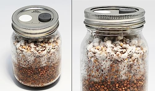 Root Mushroom Farm-6Pcs Regular Mouth Mushroom Liquid Culture Lids, Mason Jar Lid with large air exchange opening(13mm), 0.22um PTFE Filte r& 20mm Self Healing Injection Port - style: Regular Mouth Jar Lids