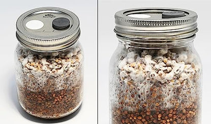 Root Mushroom Farm-6Pcs Regular Mouth Mushroom Liquid Culture Lids, Mason Jar Lid with large air exchange opening(13mm), 0.22um PTFE Filte r& 20mm Self Healing Injection Port - style: Regular Mouth Jar Lids