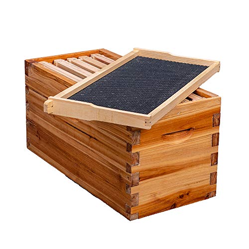 5-Frame Nuc Beehive Box for Beekeeping Complete Bee Hive Nuc Box Kit Dipped in 100% Beeswax Includes 5 Wooden Frames & Heavy Wax Coated Foundations