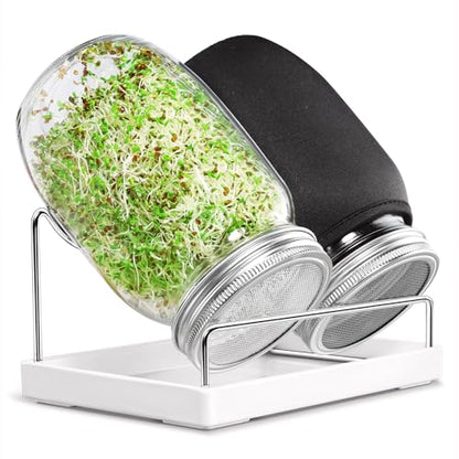 Seed Sprouting Jar Kit - 2 Wide Mouth Mason Jars with 316 Stainless Steel Sprouting Lids Covers, Drip Tray and Stand for Growing Broccoli Alfalfa Beans Sprout (Two Jars)