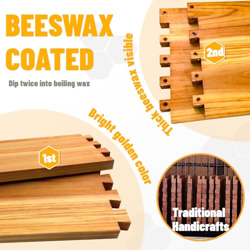 Gold Standard 10 Frame Bee Hive Beeswax Coated Includes Beehive Frames and Foundations (2 Deep Boxes & 1 Medium Box) - size: 10 Frames 3 Layers