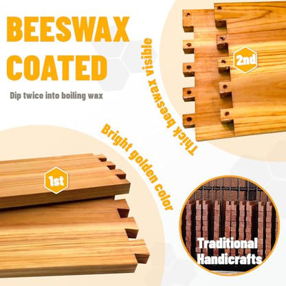 10 Frame Langstroth Bee Hive Beeswax Coated Includes Beehive Frames and Foundations (2 Deep Boxes & 2 Medium Boxes)