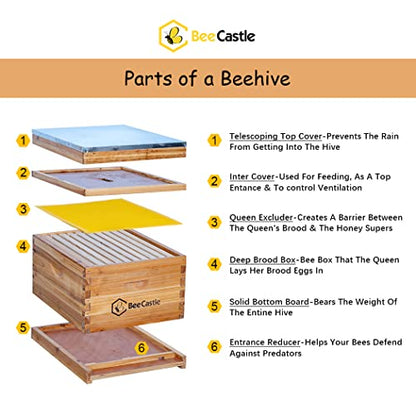 BeeCastle 10-Frame Bee Hives and Supplies Starter Kit,Beehive Kit Dipped in 100% Beeswax,Bee Keeping Supplies-All Beginners Kit Includes Beekeeping Supplies Tool Set and Bee Suit.