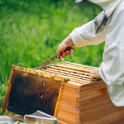 10-Frame Bee Hive Complete Beehive Kit Beeswax Coated Beehive Include Frames and Foundation Sheets for All Beekeeping Levels (2 Deep & 2 Medium Bee Boxes)