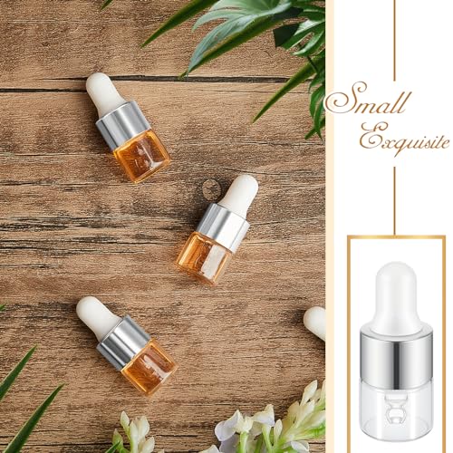 Didaey 100 Pcs 1/2/3/5/10/15 ml Mini Glass Oil Dropper Bottle Bulk, Clear Essential Small Empty Bottles Sample Containers Perfume Liquid Vials with Cap for Traveling (1 ml,Classic Silver) - color: Classic Silver, size: 1 ml