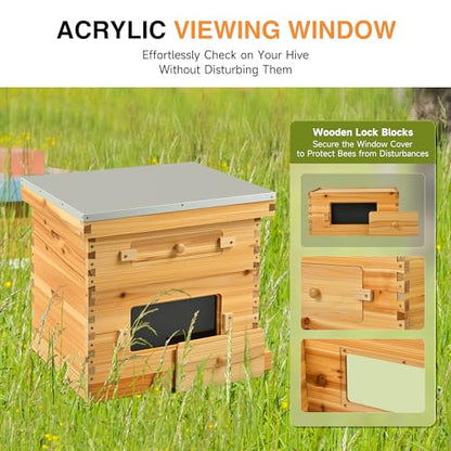 CREWORKS 20 Frame Bee Hive, Beeswax Coated Beehive Kit with Medium & Deep Boxes, Langstroth Bee Hive Boxes Starter Kit, Bees Hives Box with Transparent Acrylic Window - style: 2 Layers