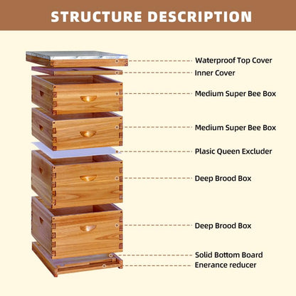 10Frame Langstroth Beehive, Wax-Coated with 100% Beeswax (2 Deep Box & 2 Medium Super No Frames Included) 4-Layer