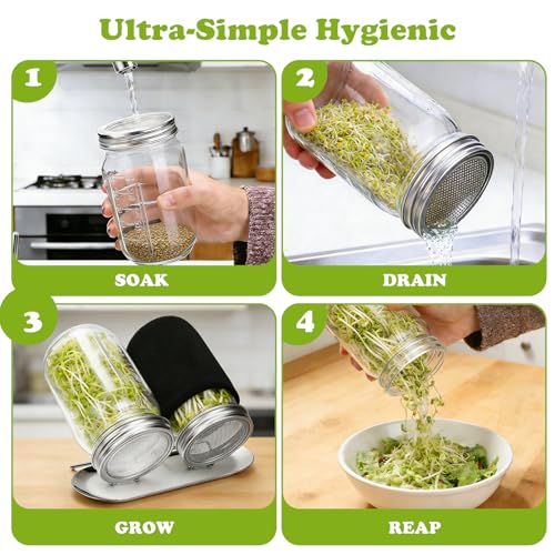 Palksky Sprouting Lids for Wide Mouth Mason Jars, 2Pack Reusable Stainless Steel Screen Bean Sprouts Growing Lid for Organic Alfalfa Broccoli Seeds Mung Bean Plant Germination Kits - color: Wide Mouth Screen Sprouting Lids 2Pack