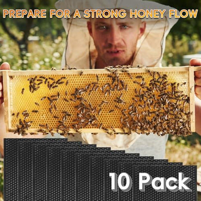 10PCS Black Food-Grade Plastic Bee Frame Medium Foundation Sheets, Natural Beeswax Coated Bee Hive Foundation for Medium Super Frames - color: Black, size: 10PCS