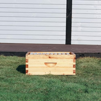 Bee Hive Box, 10 Frame Beeswax Coated Bee Hive Starter Kit for Beginners Beekeepers (1 Medium Box) - size: 1 Medium Box