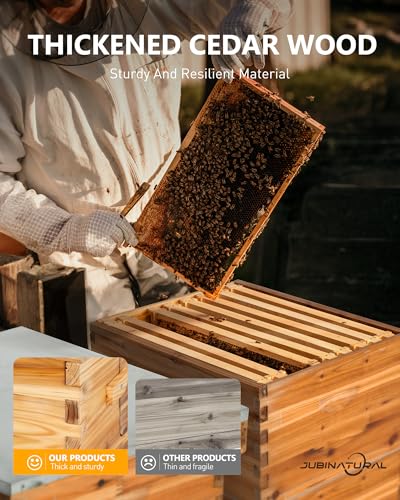 Bee Hive Starter Kit 10 Frame Langstroth Beehive 2 Deep 2 Medium Boxes | 10-Frame Langstroth Hive with 2 Deep Brood Boxes, 2 Medium Honey Supers, 40 Pine Frames and an Observation Window - size: 2Deep+2Madium Bee Box