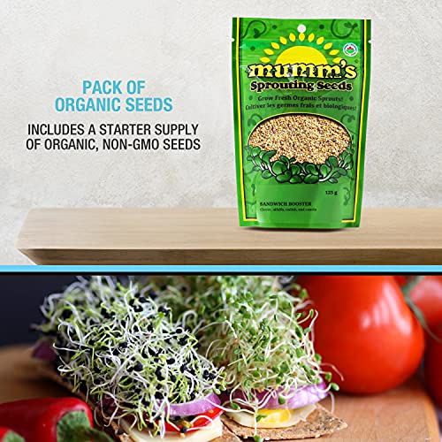 Masontops Mason Jar Bean Sprouting Jar Starter Set - Easy DIY Bean Sprout Kit with Organic Seeds, Sprouting Lids, Complete Bean Sprouts Grow Kit - size: Single Jar Kit (1 Jar, 1 Screen, 1 Seed Mix)