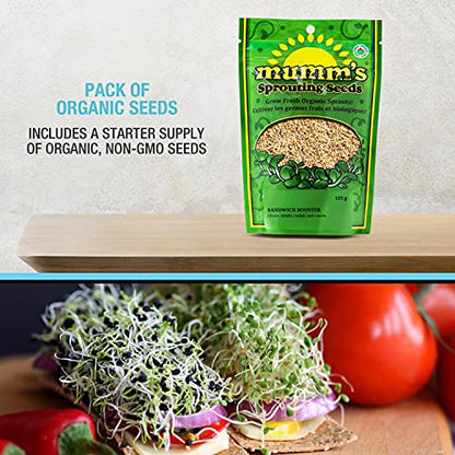 Masontops Mason Jar Bean Sprouting Jar Starter Set - Easy DIY Bean Sprout Kit with Organic Seeds, Sprouting Lids, Complete Bean Sprouts Grow Kit - size: Single Jar Kit (1 Jar, 1 Screen, 1 Seed Mix)
