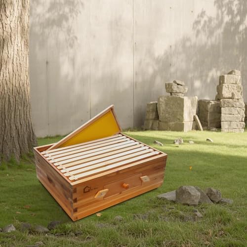 10 Frame Medium Super Bee Hive Box, Langstoth Beehive Honey Super Box, Bee Box with Acrylic Window Dipped in 100% Beeswax Includes Wooden Beehive Frames & Waxed Foundations for Beginner Beekeeper