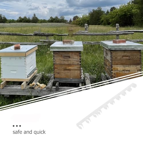 GALPADA 10pcs Plastic Hive Gap Strips Beehive Frame Spacers for Beekeeping Equipment Honeycomb Frame Divider Tool for Apiary Management