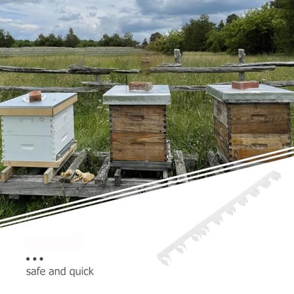 GALPADA 10pcs Plastic Hive Gap Strips Beehive Frame Spacers for Beekeeping Equipment Honeycomb Frame Divider Tool for Apiary Management