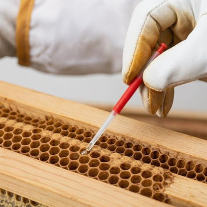 Multi‑Tool Queen‑Rearing Cultivation Kit, High‑Capacity Plastic Bee Grafting & Royal‑Honey Collecting System