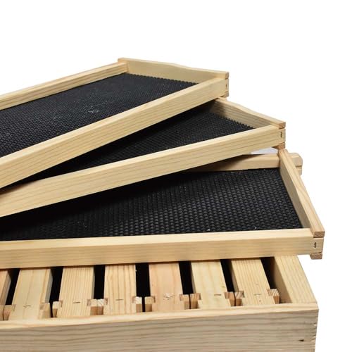 GL-2B1SK-ER Beekeeping Double Deep Box Beehive Kit