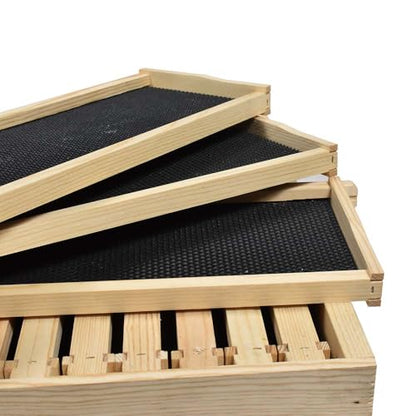 GL-2B1SK-ER Beekeeping Double Deep Box Beehive Kit