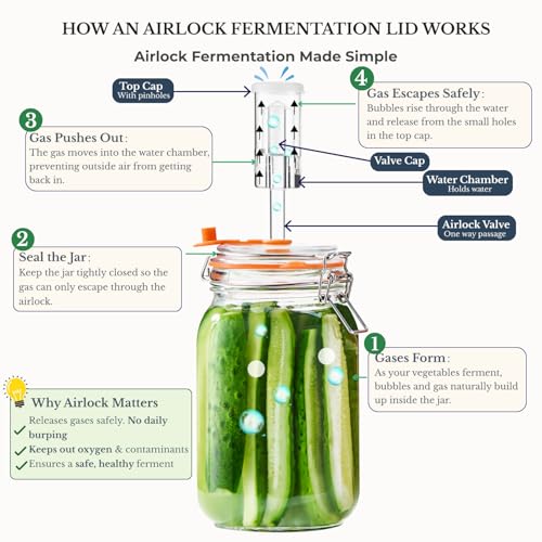 JILLMO Wide Mouth Glass Fermentation Jar with Airlock & Glass Weight, 1.5L Fermenting Jar for Sauerkraut, Kimchi, Pickles & More,Pack of 2 - size: 1.5 Liter