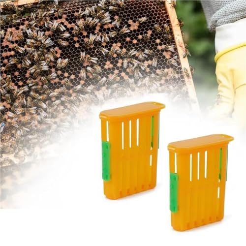 Queen Bee Cage 80Pcs Queen Bee Post Cage Beekeeping Queen Cages Move Transmit Grid Box Bee Marking Cage Beekeeping Tools Queens Shipping Box for Beekeepers