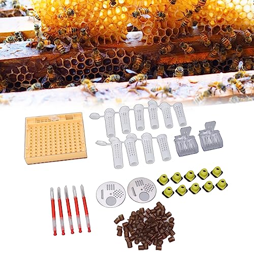 Pilipane Queen Bee Rearing Box Plastic Queen Rearing System Beekeeping Queen Bee Rearing Grafting Kit with 110 Cell Cups for Professional Beekeepers and Hobbyists