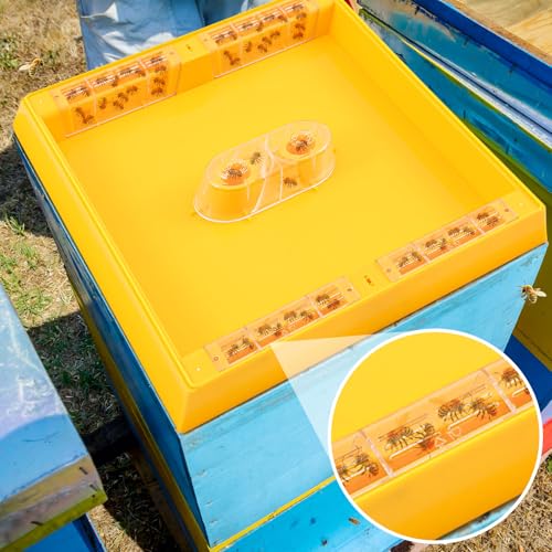 2 Pack 10 Frame Bee Top Feeder, Assembled Plastic 10 Frame Beehive Candy Board Feeder for Feeding Water or Sugar Cake to Bee Hives Beekeeping Supplies Tool Equipment 1.2 Gallon, Easy to Use