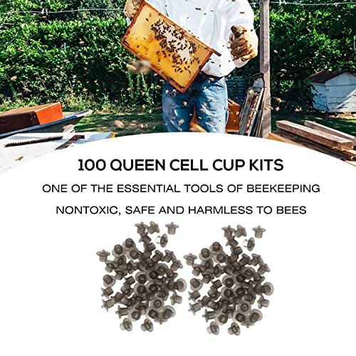 Kavolet 100PCS Queen Bee Rearing Cup Plastic Beekeeping Supplies, Queen Bee Cell Cup Rearing Kit Vivid Color for Beekeeper - Cell Apiculture Grafting Tool (Grey) - color: Grey