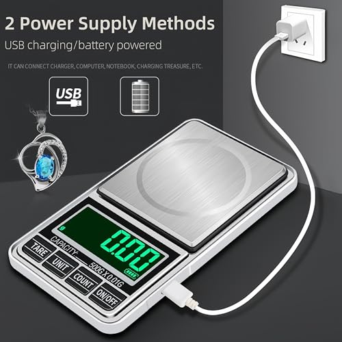 Pocket Scale Digital Jewelry Scale 300g 0.01g Accuracy USB Rechargeable Portable Mini Gram Scale Small Food Scale for Gold Coin Coffee Spice, Batteries Included, with Leather Case - size: 300g