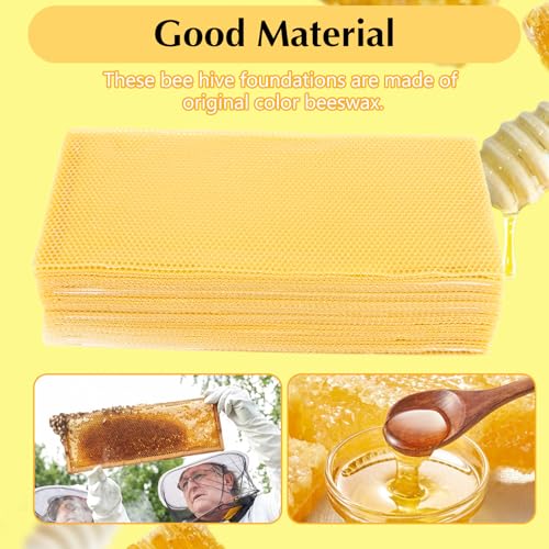 30PCS Honeycomb Bee Wax Foundation, Beehive Wax Frames Waxing Beekeeping Equipment Tool Honey Bee Hive Tool 7.7x16.3"