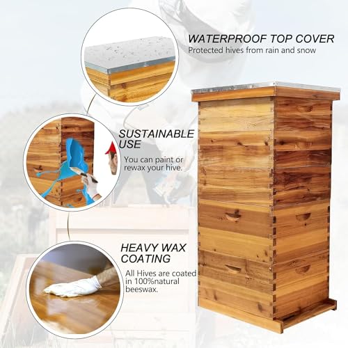 5-Layer Bee Hive, Beehive Kit Langstroth Bee Hive Coated with 100% Beeswax Includes 2 Deep Bee Boxes, 3 Medium Bee Hive, NO Frame