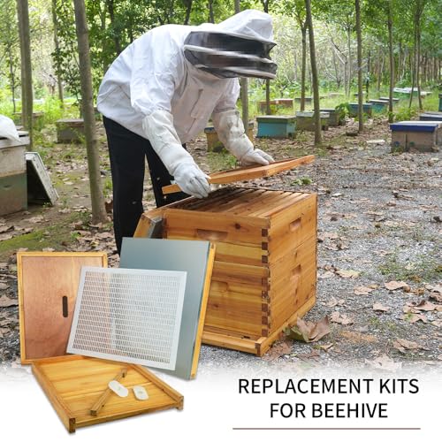 1 Set 10 Frame Langstroth Beehive Parts Kit, 100% Beeswax for Beekeeping Equipment (Telescoping Top Cover, Inner Cover, Bee Escape, Plastic Queen Excluder, Solid Bottom Board)