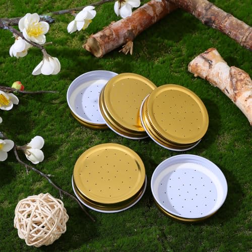 Gatuida 8Pcs Beehive Water Feeder Lids Bee Water Feeder Part Replacement Perforated Beehive Entrance Tool for Bees Beekeeping Tool 2.87 X 2.87 X 0.59 in