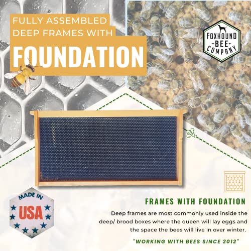 Foxhound Bee Company - Made in USA - Fully Assembled Deep Beekeeping Frames with Double Wax Beeswax Coated Plastic Foundation - 20 Pack - style: Deep - 20 pack