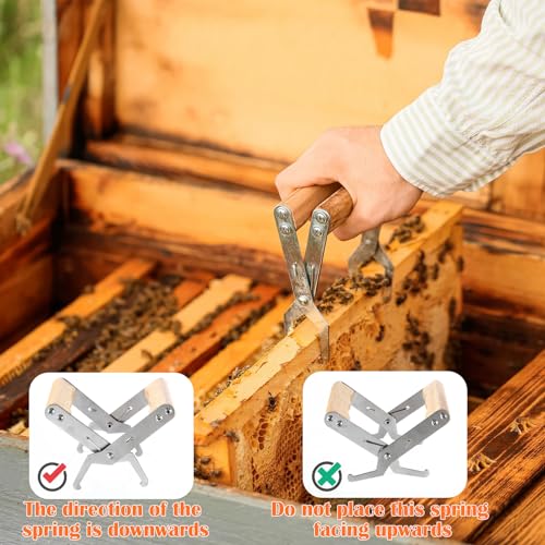 Tandefio 6 Pcs Honey Harvesting Honey Extractor Kit Include Stainless Steel Honey Strainer, Frame Grip, Uncapping Fork, Uncapping Needle Roller, Honey Gate, Queen Catcher, Bee Supplies and Equipment