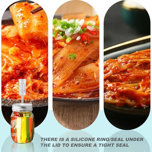 Mason Jar Fermentation Lids, 2.76" Plastic Fermentation Kit Includes 6 Fermenting Lids and 6 Airlocks, Regular Mouth (Jars Not Included)..