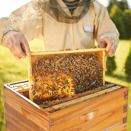 10-Frame Bee Hive Complete Beehive Kit Beeswax Coated Beehive Include Frames and Foundation Sheets for All Beekeeping Levels (1 Deep & 1 Medium Bee Boxes)