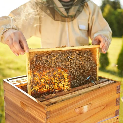 10-Frame Bee Hive Complete Beehive Kit Beeswax Coated Beehive Include Frames and Foundation Sheets for All Beekeeping Levels (1 Deep & 1 Medium Bee Boxes)
