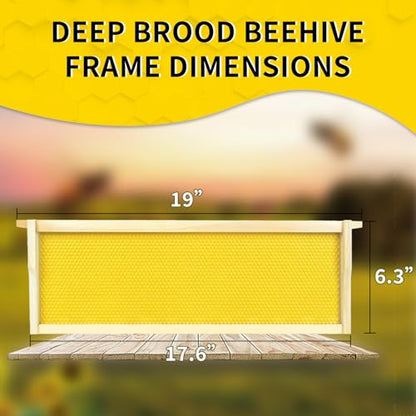 Medium Beehive Frames with Wax Foundations 20 Pack Beeswax Coated Foundations 6-1/4-Inch Beekeeping Supplies - size: 20 Pack Medium Beehive Frames