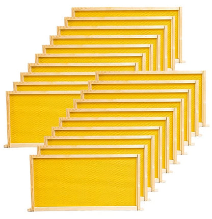 BeeCastle 20 Pack Beehive Frames and Waxed Foundations for Deep Brood Bee Hives with Wooden Bee Hive Frames and Beeswax Coated Foundations, 9-1/8-Inch (Yellow) - size: 20-Pack
