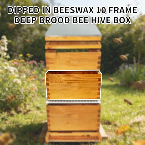 2 Pack Beehive Deep Brood Box 10 Frame Langstroth Deep Brood Bee Hive Box Beekeeping Supplies - size: 2 Pack Beehive Deep Brood Box